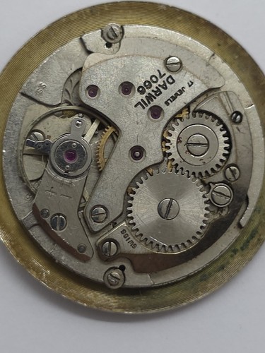Vintage darwil watch movement - darwil,